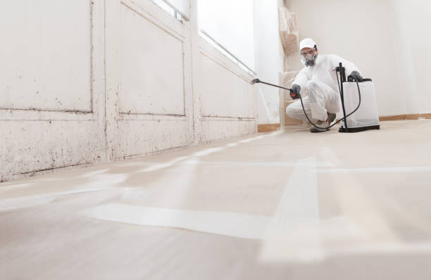 24/7 Emergency Mold Remediation experts in Gleneagle, CO